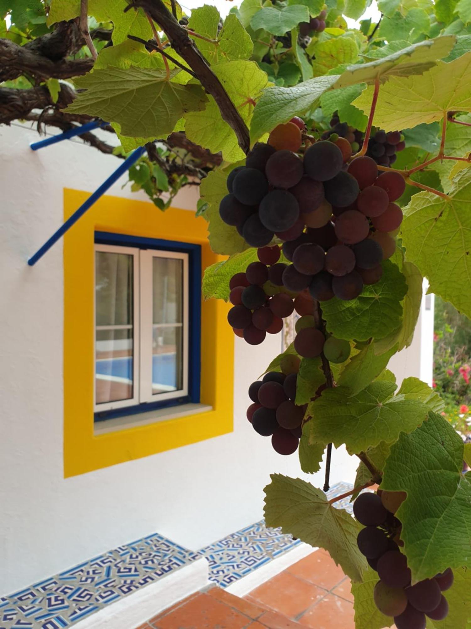 Sondela Self Catering Villa Sao Martinho do Porto Ngoại thất bức ảnh