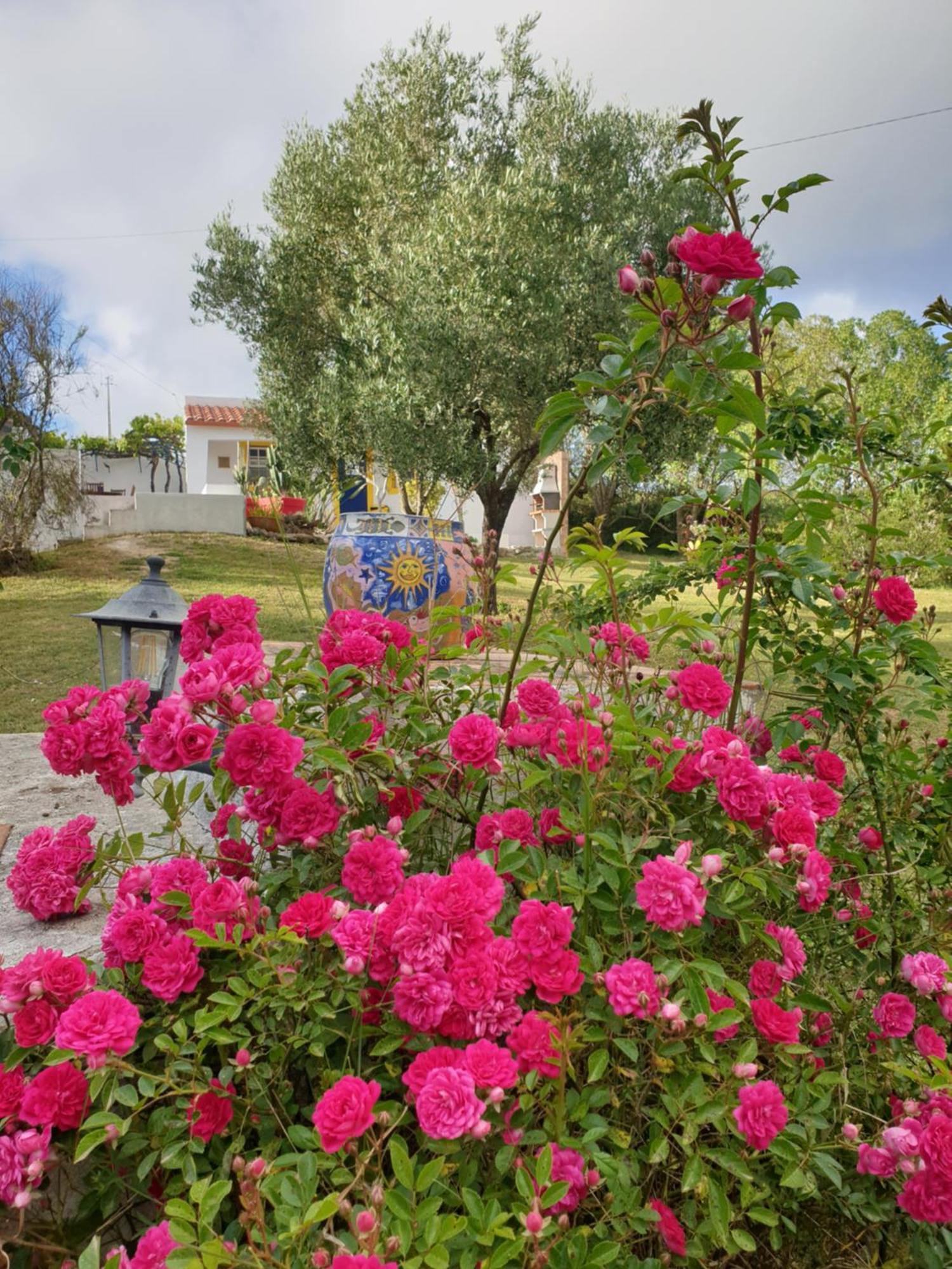 Sondela Self Catering Villa Sao Martinho do Porto Ngoại thất bức ảnh